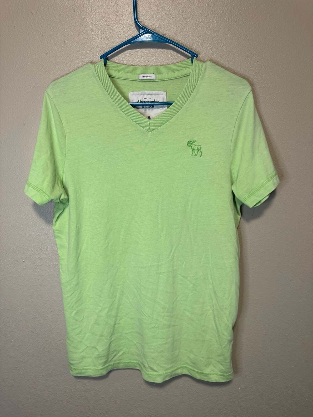 Abercrombie & Fitch Green V-Neck Muscle Fit T-Shirt